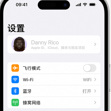 昭通appleID维修服务iPhone设置中Apple ID显示为灰色无法使用 