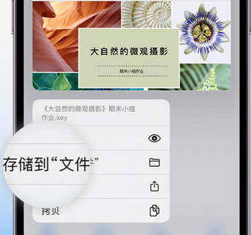 昭通apple维修中心分享iPhone文件应用中存储和找到下载文件