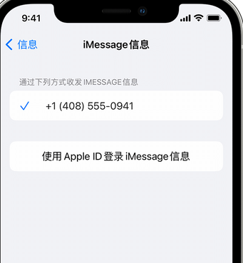 昭通apple维修iPhone上无法正常发送iMessage信息 