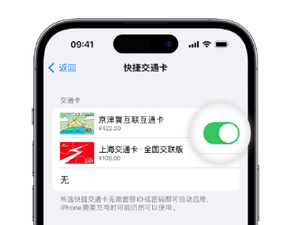 昭通apple维修点分享iPhone上更换Apple Pay快捷交通卡手绘卡面 