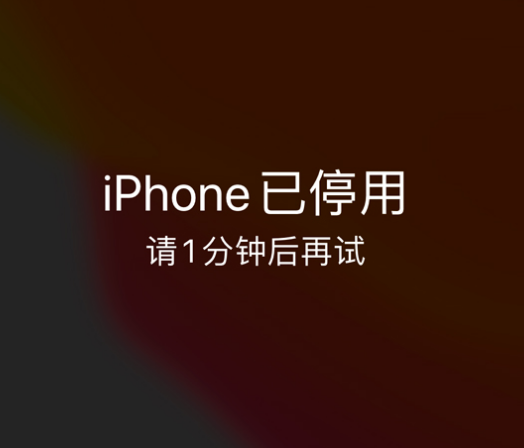 昭通苹果手机维修分享:iPhone 显示“不可用”或“已停用”怎么办？还能保留数据吗？ 