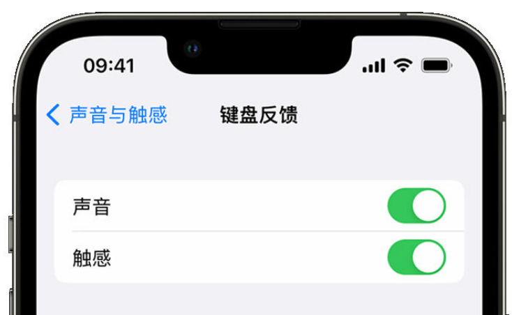 昭通苹果手机维修分享iPhone 14触感键盘使用方法 