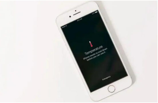 昭通苹果手机维修分享iPhone 手机发热如何快速降温 