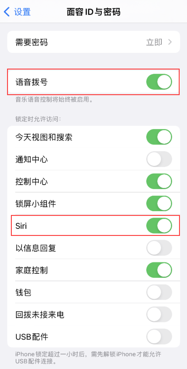 昭通苹果维修网点分享不解锁 iPhone 的情况下通过 Siri 拨打电话的方法 