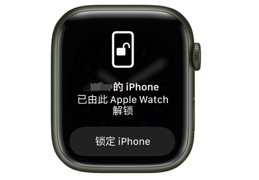 昭通苹果手机维修分享用 AppleWatch 解锁配备面容 ID 的 iPhone方法 