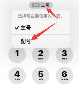 昭通苹果14维修店分享iPhone 14 Pro Max使用副卡打电话的方法 