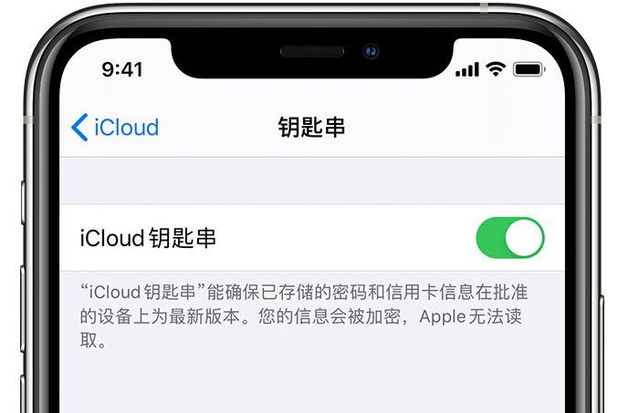 昭通苹果手机维修分享在 iPhone 上开启 iCloud 钥匙串之后会储存哪些信息 