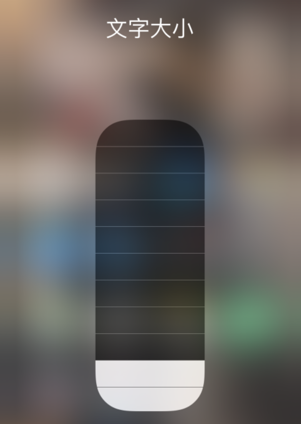 昭通苹果手机维修分享小技巧：在 iPhone 控制中心快速调节字体大小 
