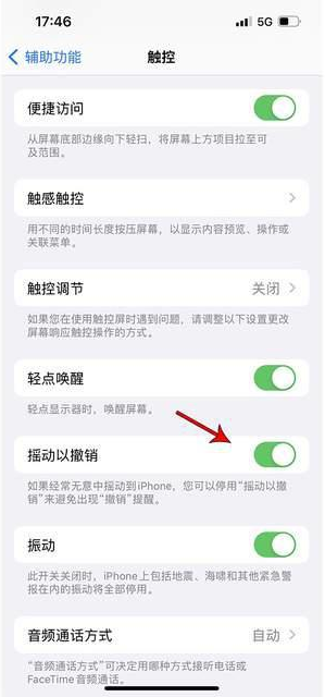 昭通苹果手机维修分享iPhone手机如何设置摇一摇删除文字 